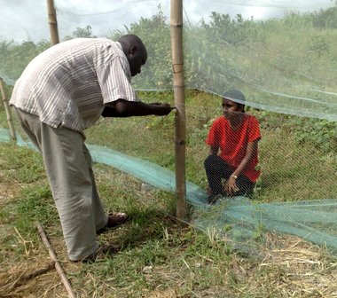 Fence Erection